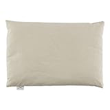 Bucky 100% Cotton Buckwheat Filled Pillow Collection, 1...